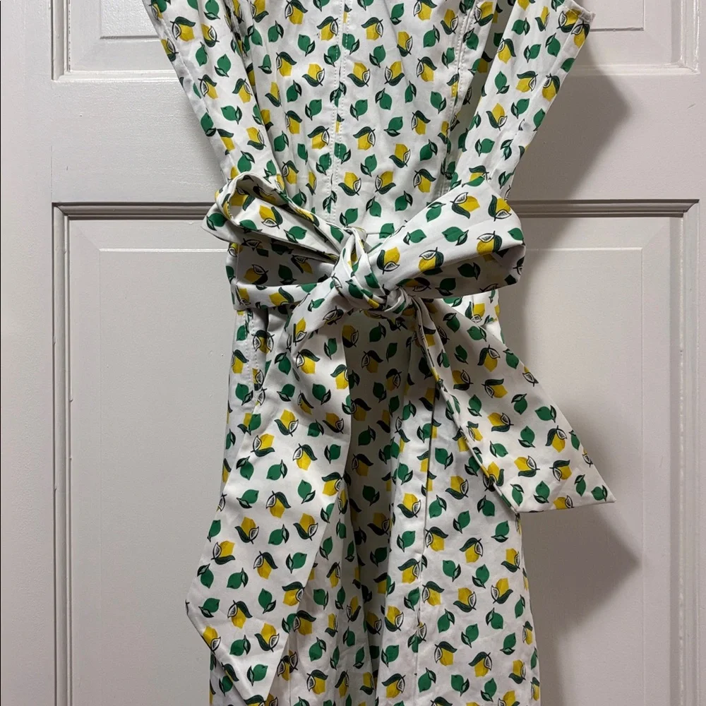 Boden Lemon Lime print Mischa dress - Picture 3 of 8